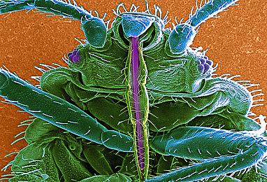 《光明记忆：无限》创意工坊上线 Steam新史低促销中